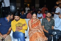 Rangasthalam Thank You Meet Photos